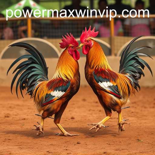 Cockfighting: A Clash of Tradition and Ethics